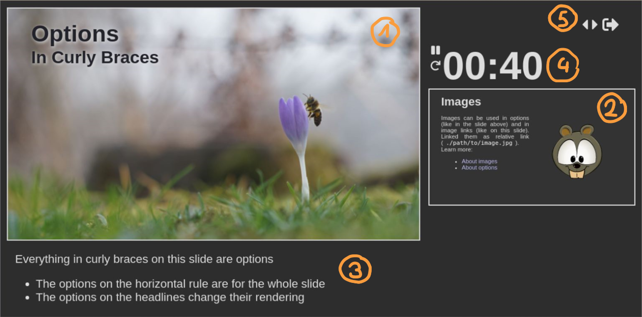 Screen shot of the presenter screen, showing the current slide, next slide, speaker notes and timer