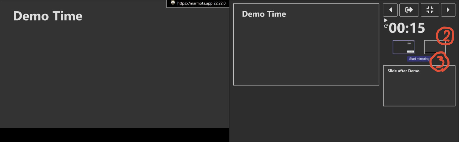 Screenshot: Select screen to mirror and start mirrored video feed